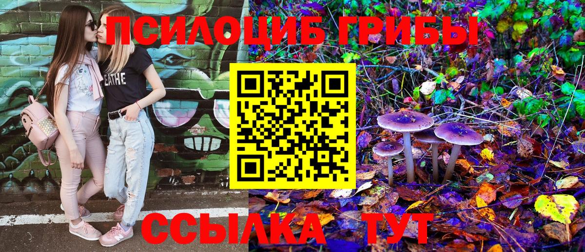 даркнет сайт  Вход с VPN  Галлюциногенные грибы Psilocybe  Артёмовский  Галлюциногенные грибы Magic Shrooms 